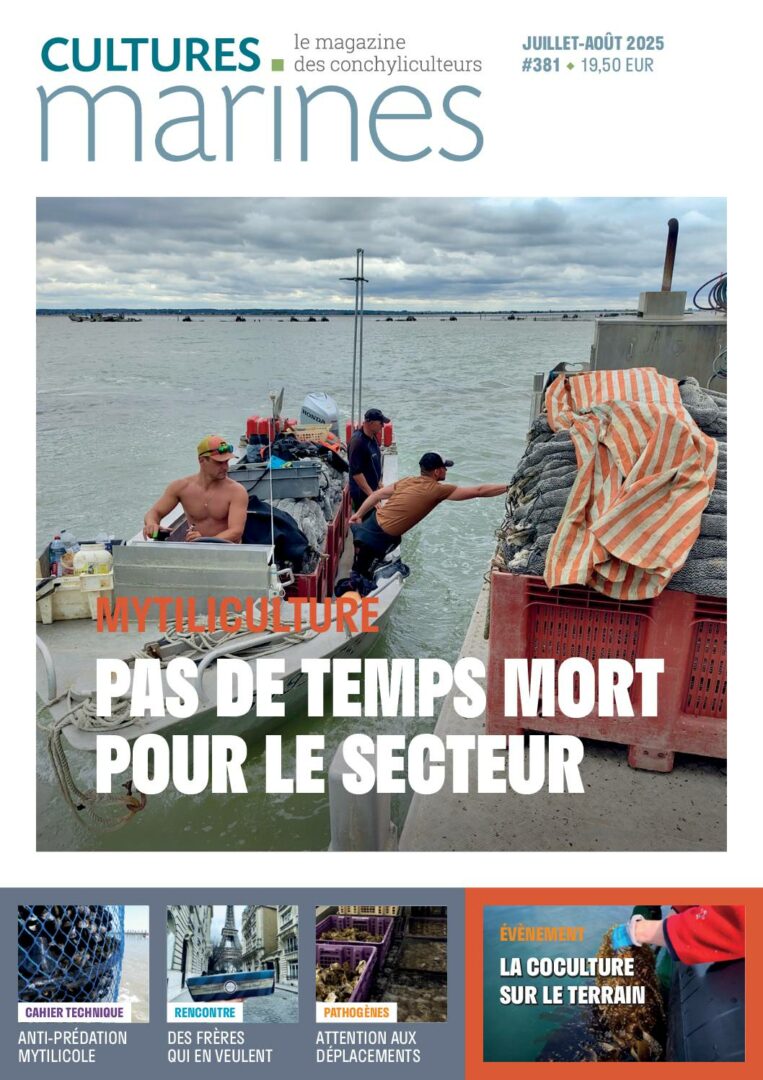 Cultures Marines n°381